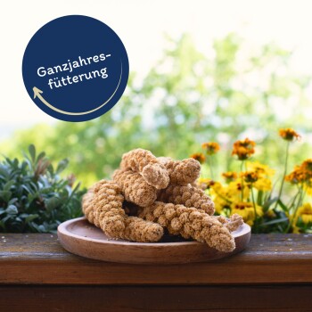 Lyra Pet Kolbenhirse gelb 10 kg