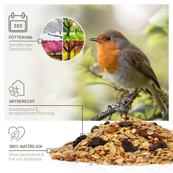 wildtier liebe Futtertraum Schalenloses Vogelfutter 5kg