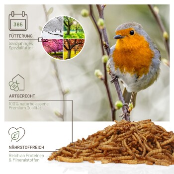 wildtier liebe Edel Mehlwürmer getrocknet 800g