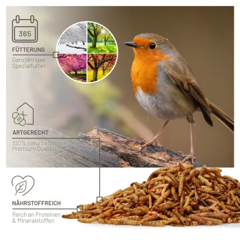 wildtier liebe Vogeltraum - Premium Insektenmix 500g