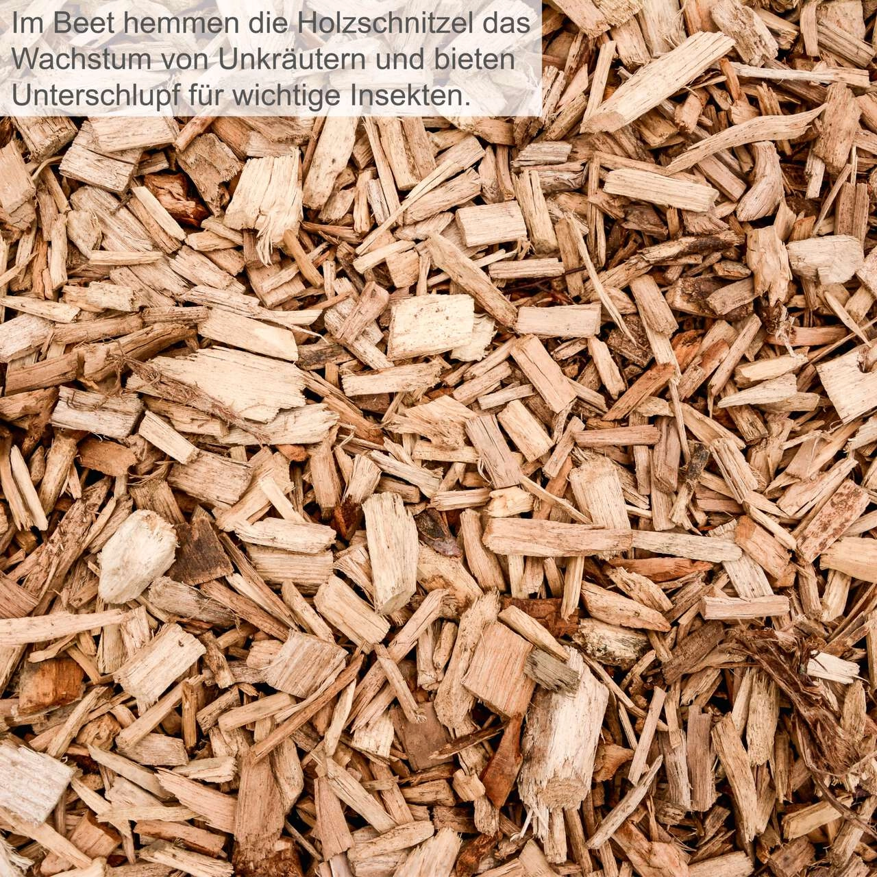 Leisehäcksler GS60 Scheppach - Aststärke 45mm | 60L Box | Selbsteinzug & Rücklauf | inkl. Zubehör