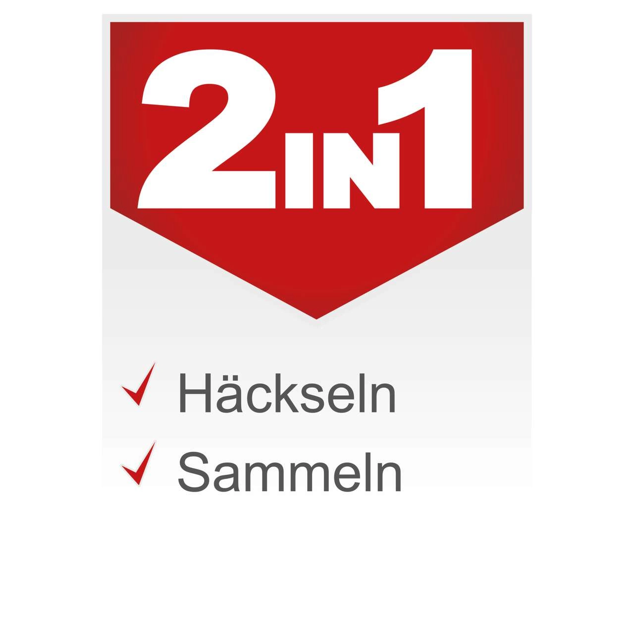 Leisehäcksler GS60 Scheppach - Aststärke 45mm | 60L Box | Selbsteinzug & Rücklauf | inkl. Zubehör