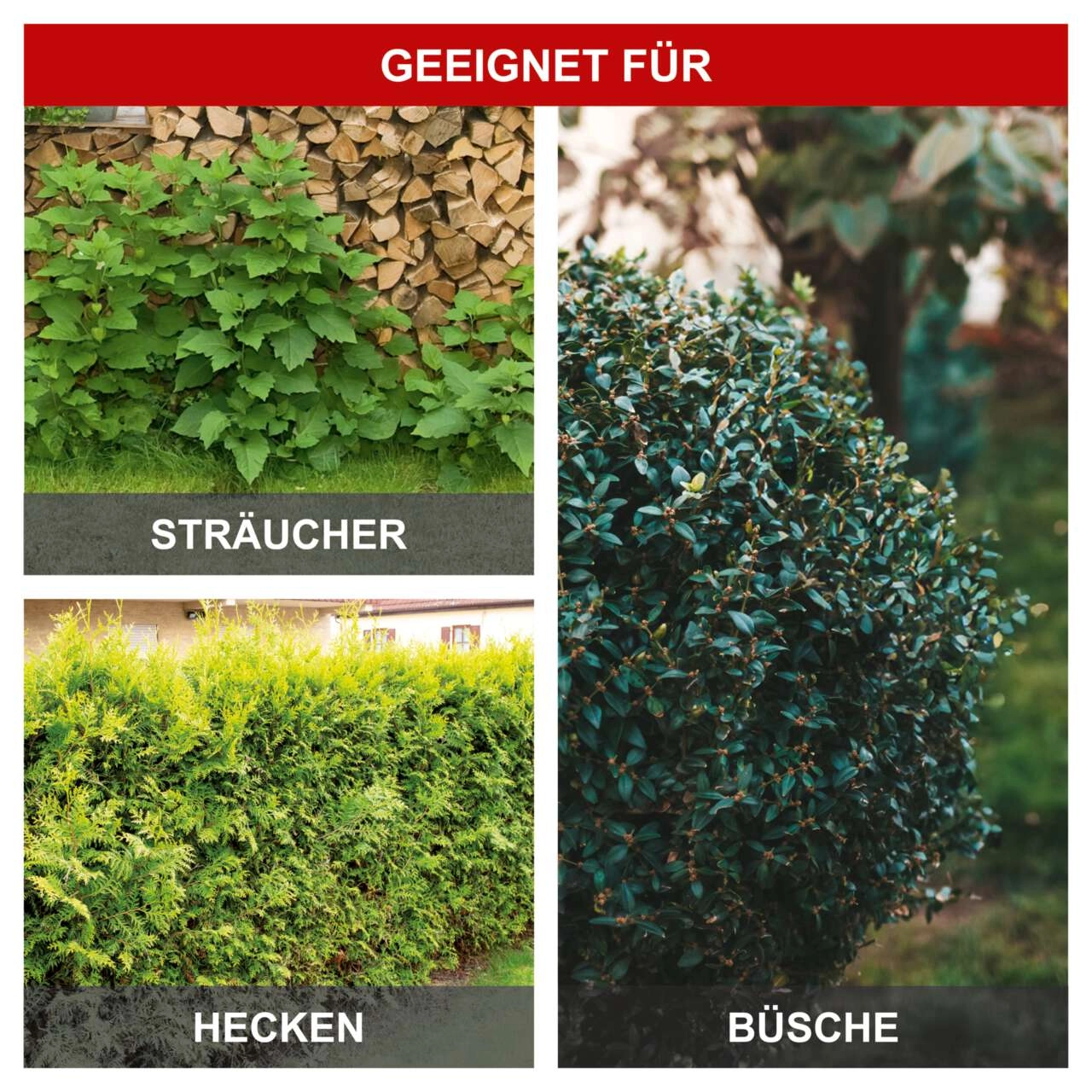 Elektro Teleskop Heckenschere ETHT500 Scheppach - 450mm Schnittlänge | 230V | ausziehbar bis 2750mm