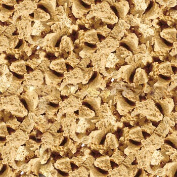 Sera FD Artemia Shrimps 100ml