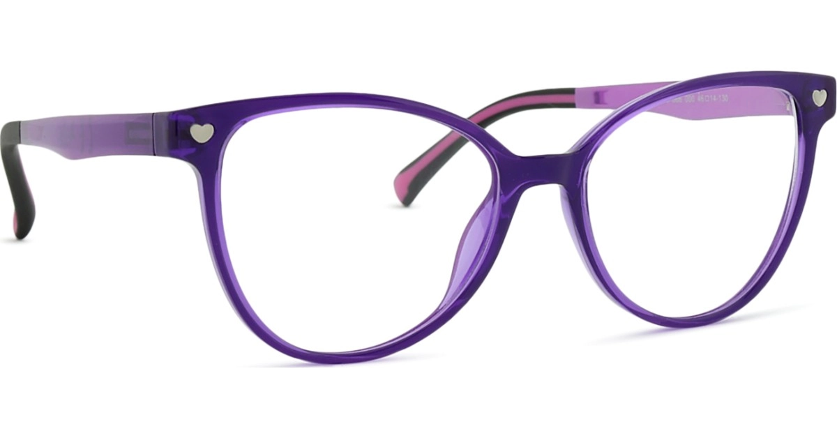 Active Clip on F 0500 48 066 000 48 (sonnenclip)