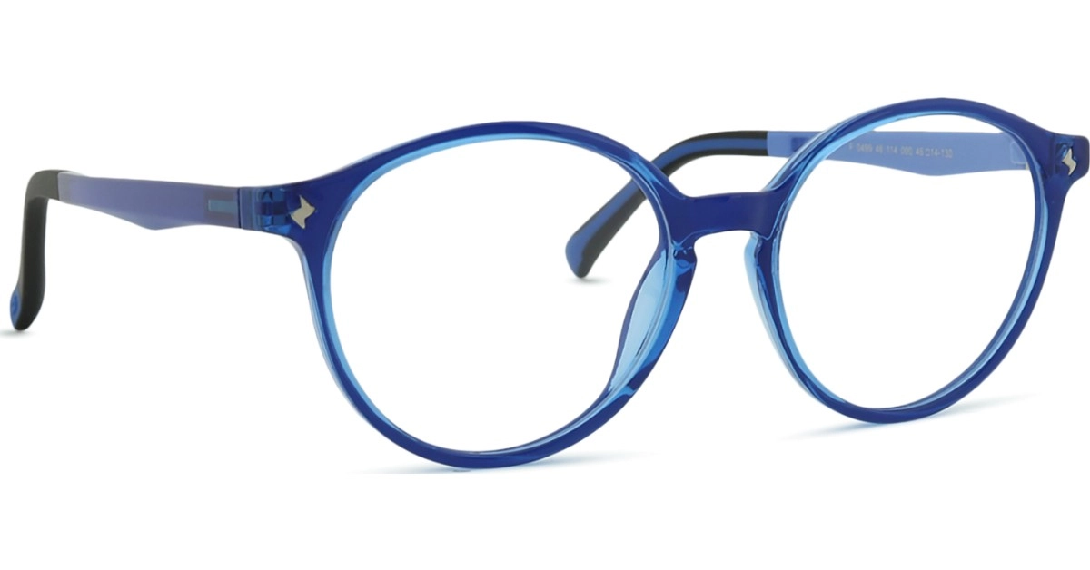 Active Clip on F 0499 48 114 000 48 (sonnenclip)